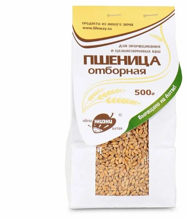 проращивание зерна. пшеница для проращивания. пшеница для проращивания. пшеница для проращивания. овес голозерный образ жизни 500гр.