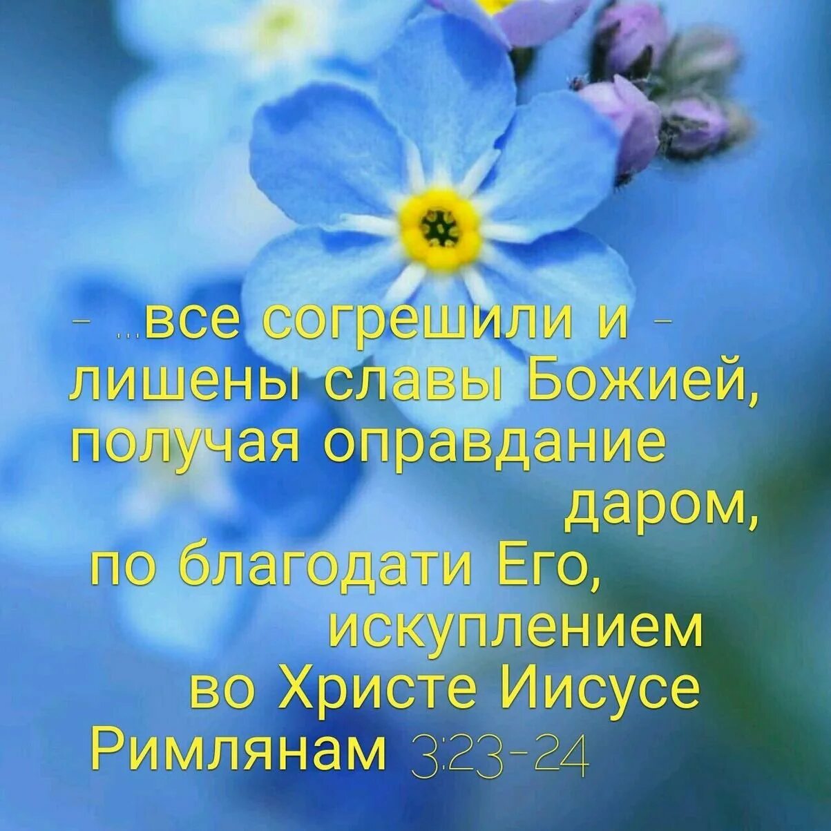 О благодати божией. Цветочный фон. Открытка божьего благословения здоровья. Христианские пожелания на каждый день в стихах. Открытка божьего благословения здоровья.