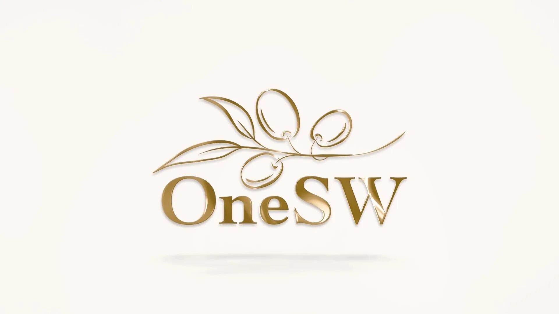 ONESHOP World. ONESW. Компания one. Ваншоп ворлд
