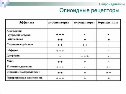 Нейромедиаторы