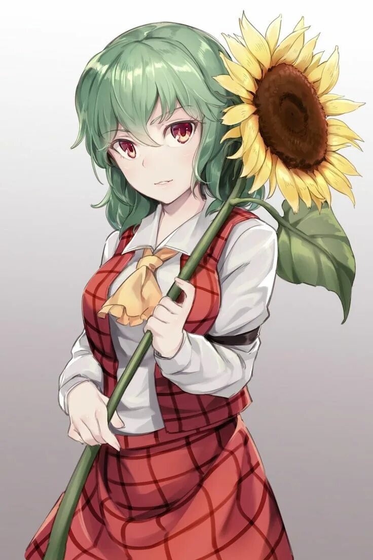 Yuuka. Yuuka. Юка кадзами тохо. Юка кадзами. Юка кадзами тохо.