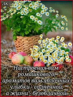 Благословенного утра и прекрасного дня картинки христианские