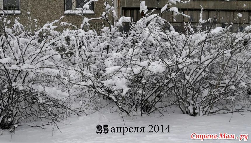 Никак зимой. 26 Апреля 2014 снегопад.