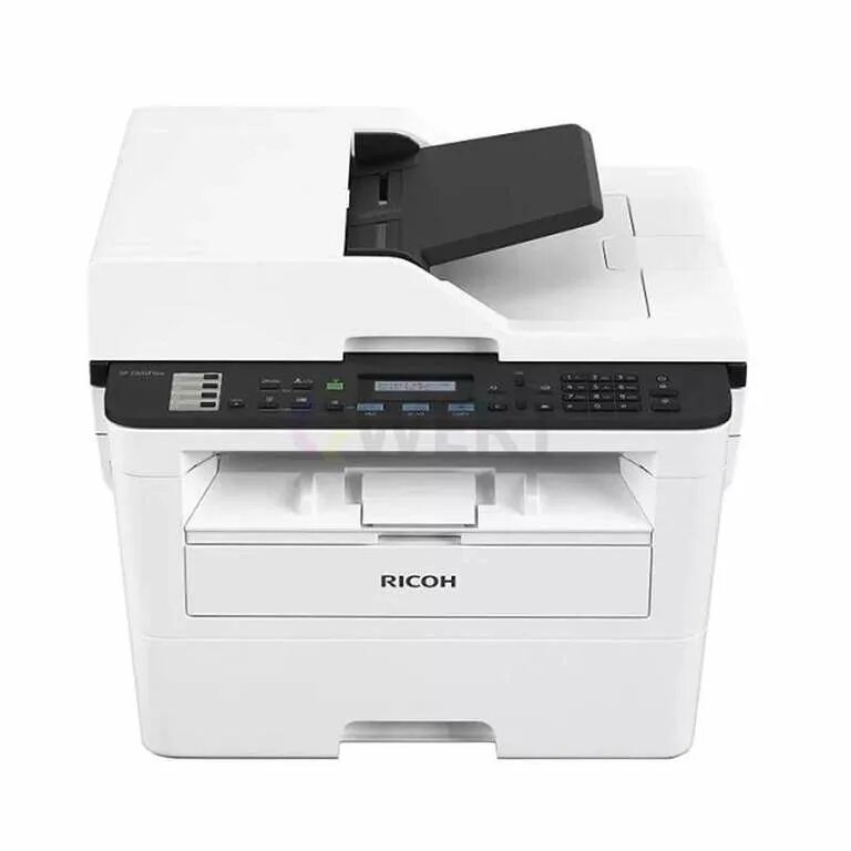 МФУ Ricoh SP 230sfnw. 408293 МФУ Ricoh SP 230sfnw. МФУ Ricoh le SP 230sfnw. Ricoh / SP 230sfn. Принтер ricoh sp купить