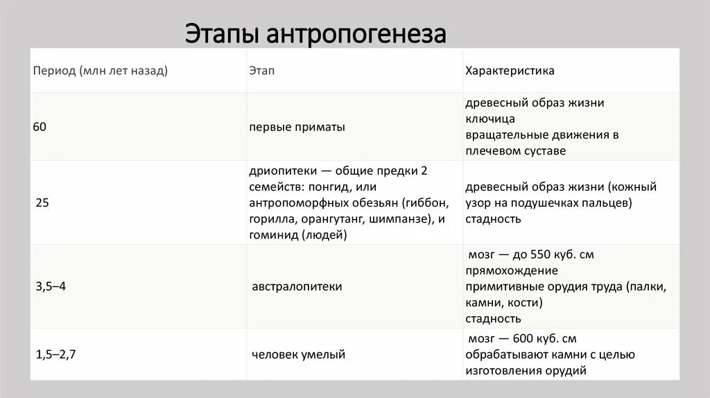 Верная последовательность антропогенеза. Этапы антропогенеза. Характеристика этапов антропогенеза. Основные этапы антропогенеза. Этапы антропогенеза кратко.