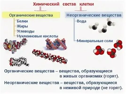 Выбрать органическое вещество вода