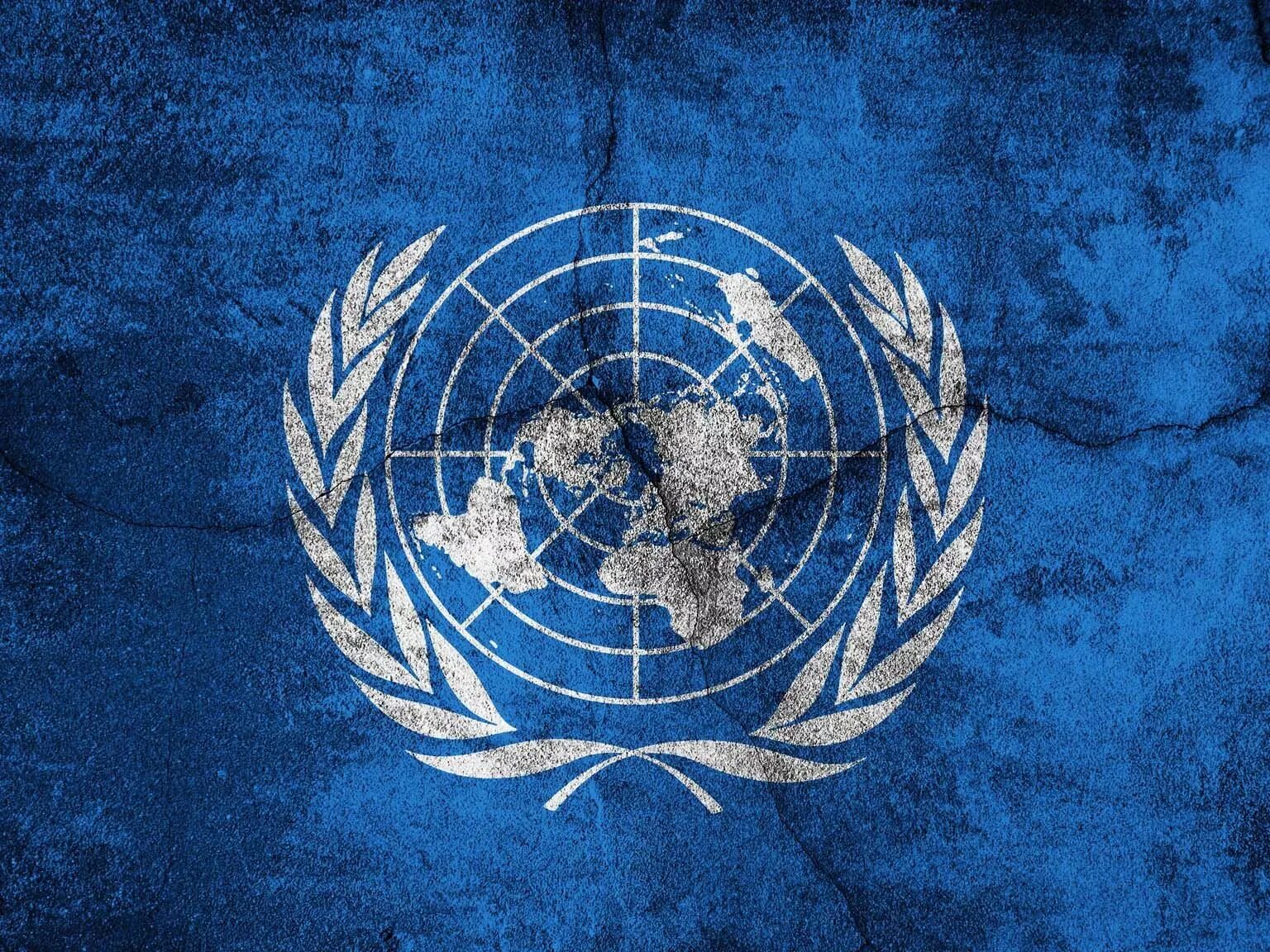 Флаг оон. Здание оон в нью-йорке. Оон википедия. Оон. Оон википедия.