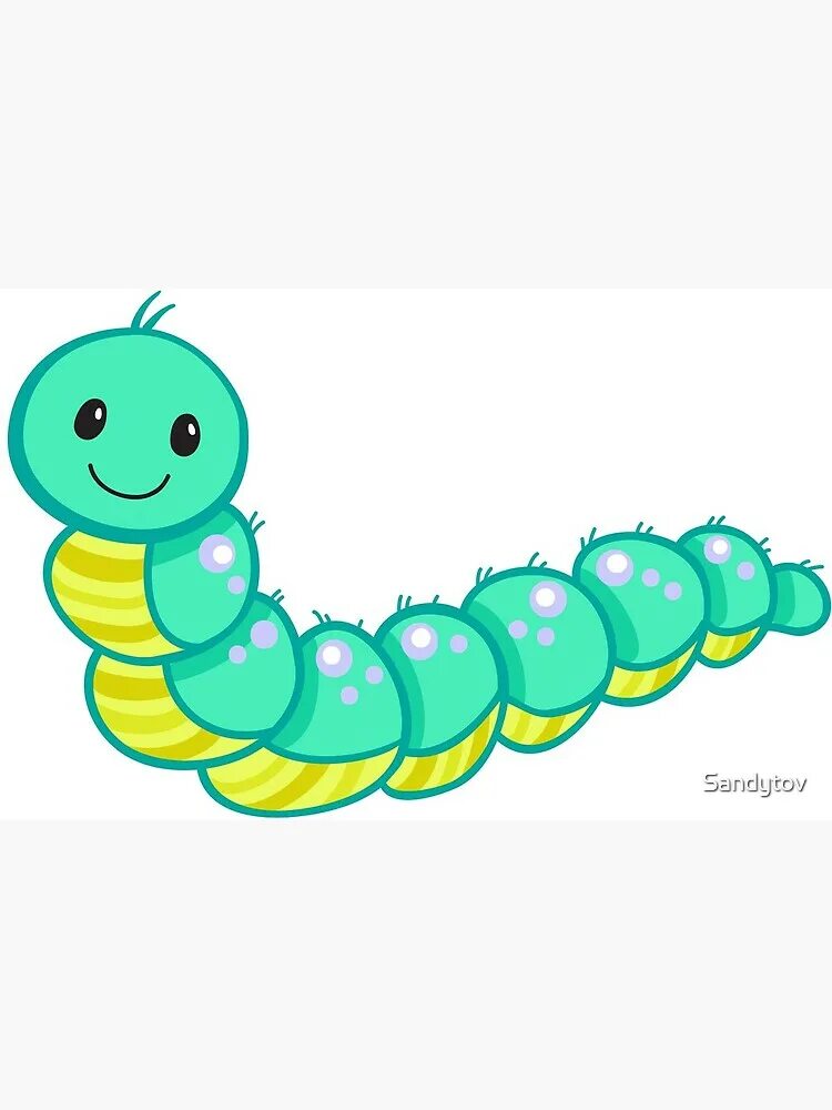 гусеница палочник бабочка. гусеница ползет. гусеница описание. махаон бражник гусеница. гусеница.