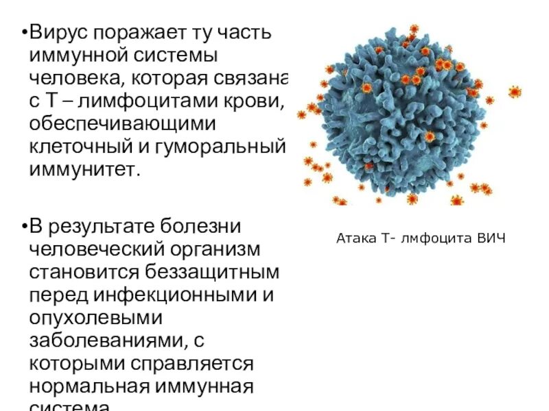 System virus. Вирус поражающий иммунную систему. Вирус нарушающий работу иммунной системы. Вирусы поражающие человека. Вирус поражающий иммунные клетки организма.