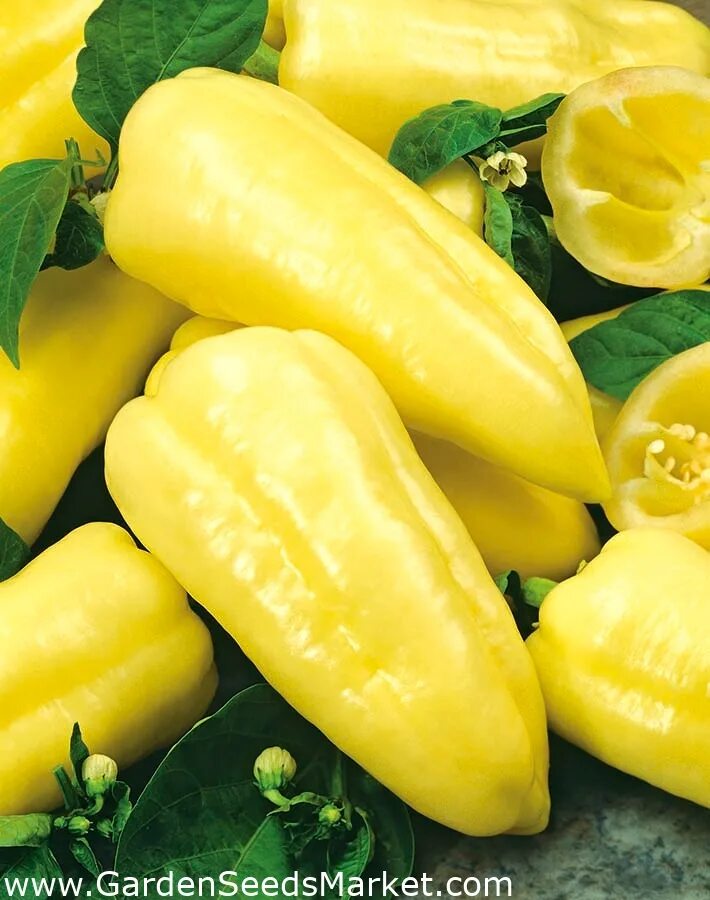 Перец абрикосовая фаворитка. Перец золотое чудо седек. Перец сладкий бизон желтый. Перец сладкий тевере f1. Сорта желтого кубовидного перца.