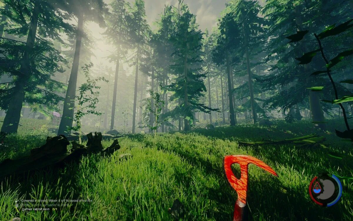 Source forest