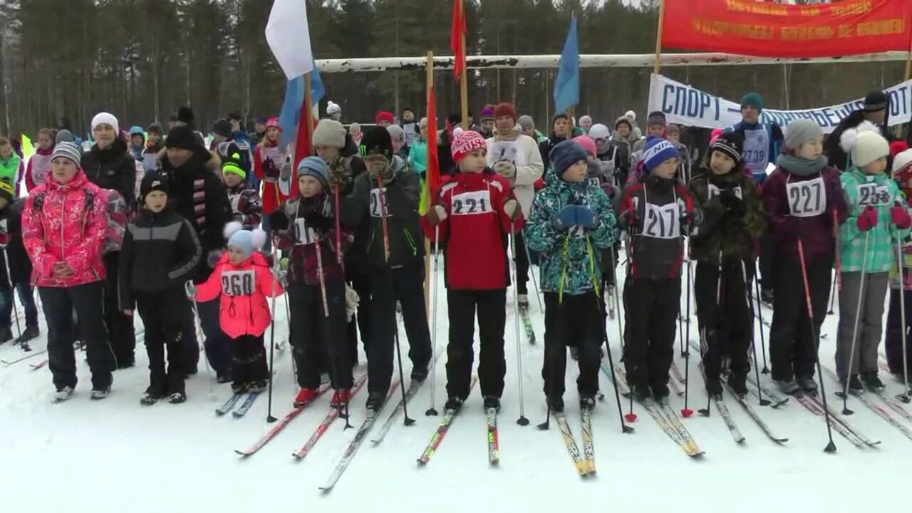 Рп5 североонежск. Подслушано в Североонежске. Поселок Североонежск Архангельская область. Плесецкий район Североонежск. Подслушано Североонежск Архангельская область.