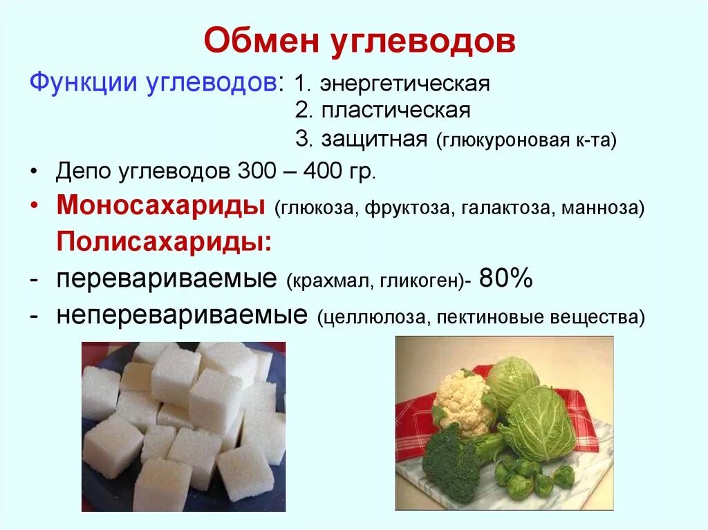 Углевод в печени человека. Обмен углеводов. Обмен углеводов функции. Обменные процессы углеводов. Обмен углеводов схема.