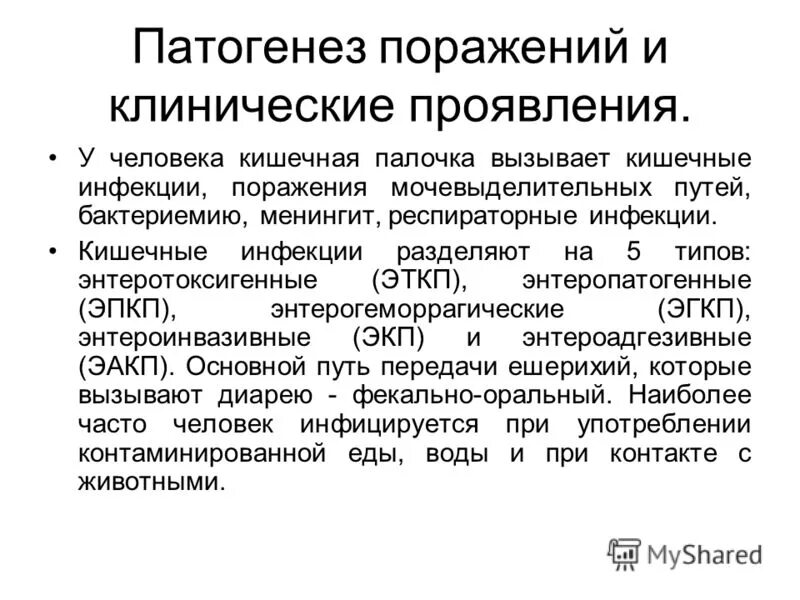 кишечная палочка патогенез. этиология и патогенез пиелонефрита у детей. синегнойная палочка патогенез. диареегенные кишечные палочки. кишечная палочка этиология.