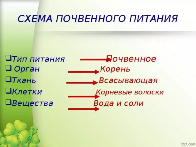 Питание растений презентация. Схема почвенного питания. Почвенное питание растений. Минеральное питание растений 6 класс. Тест по теме минеральное питание