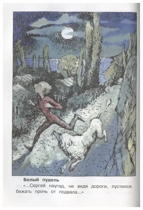 Куприн произведение белый пудель. Белый пудель краткое содержание. Куприн белый пудель читать. Куприн "белый пудель". Белый пудель троепольский.