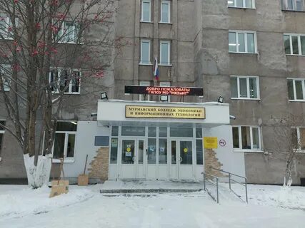 Колледжи г мурманска