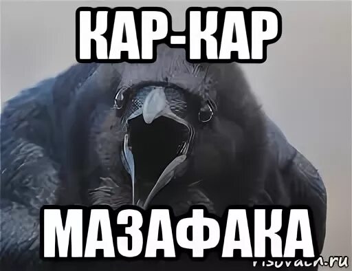 Мем про ворона. Накаркал мем. кар кар мазафака. ворона мем. ворона кар кар.