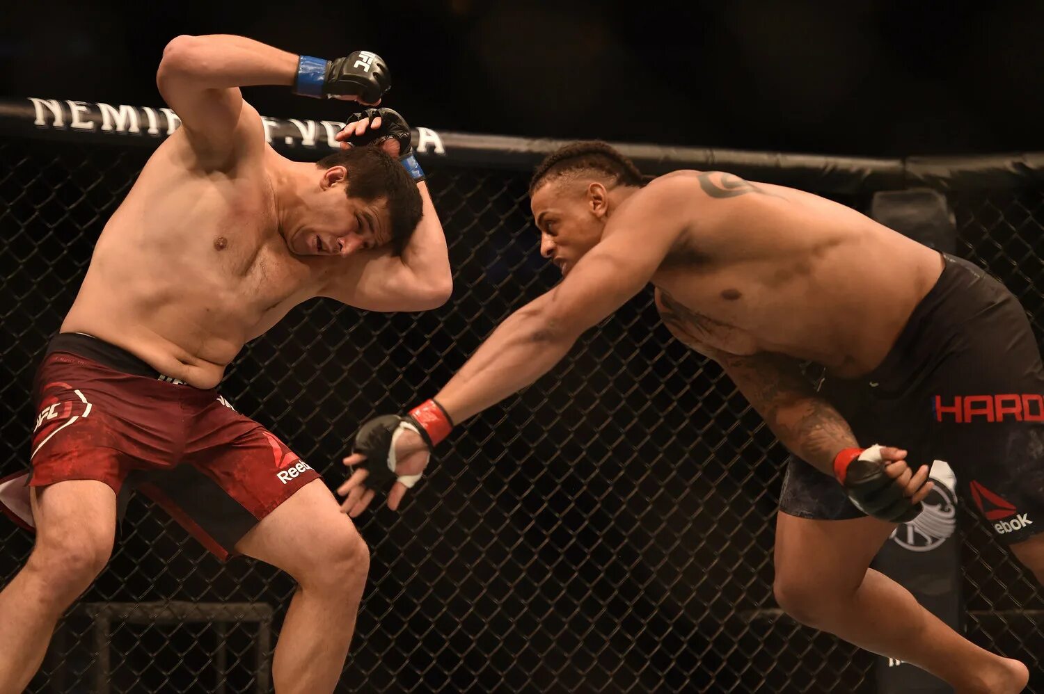 Как становятся бойцами мма. Дмитрий смоляков боец. смоляков ufc. дмитрий смоляков ufc. боец мма дмитрий смоляков.