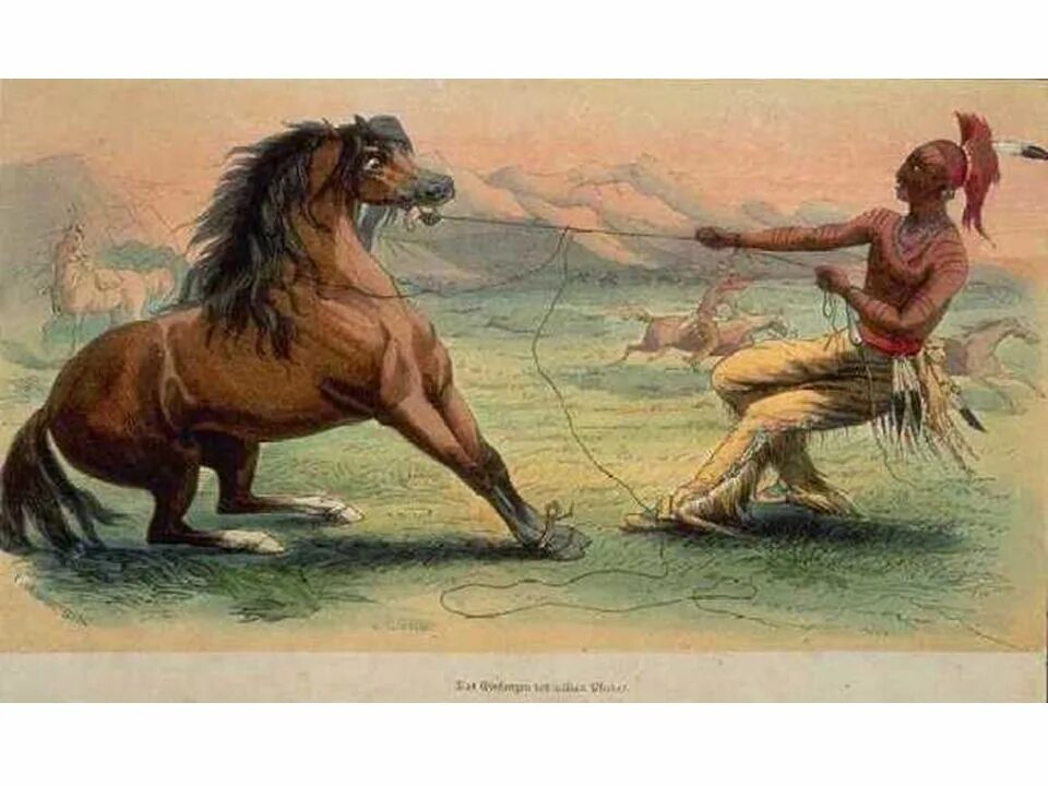 1 мужчина 1 конь. Джордж Кэтлин индейцы. Одомашнивание лошади. Одомашнивание лошади древних людей. Первые прирученные лошади.