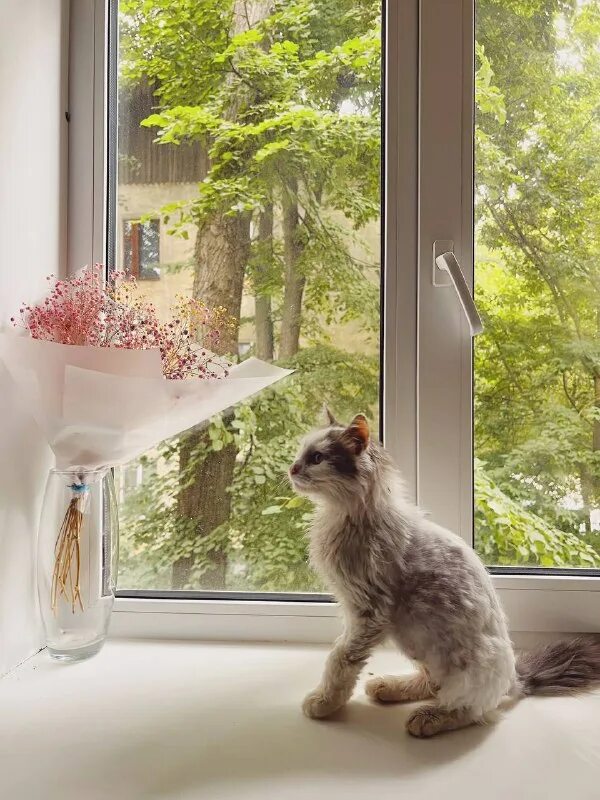 зато приятное. предложение с союзом зато и за то. 8 марта шутки приколы. зато я сдал проект картинка. зато закрытое административно-территориальное образование.