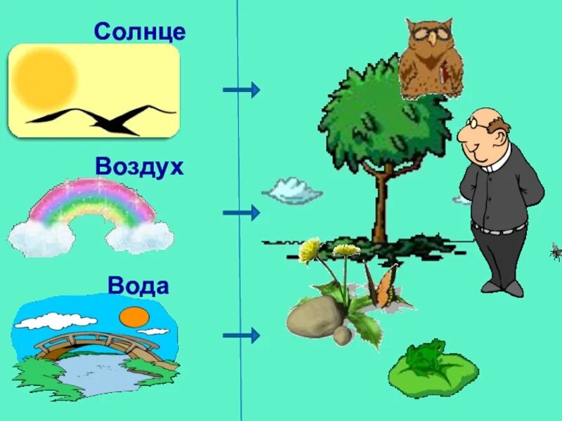 Связь между живой и неживой природой. Связь живой и неживой природы 2 класс. Взаимосвязь живой и не дивой природы. Связь между живой и неживой природой картинки.