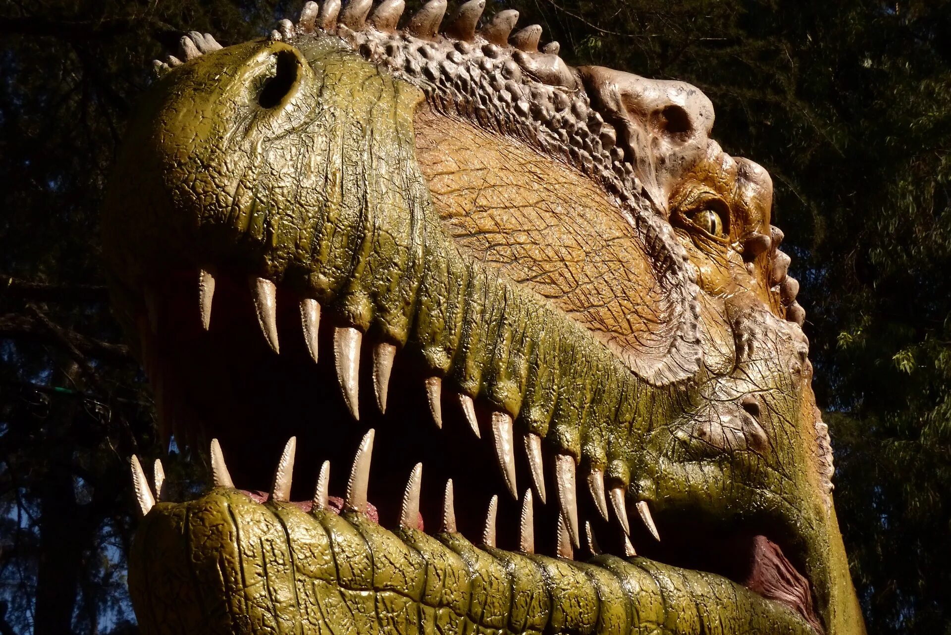 Динозавры убийцы. Самые страшные динозавры. Зубастый динозавр.