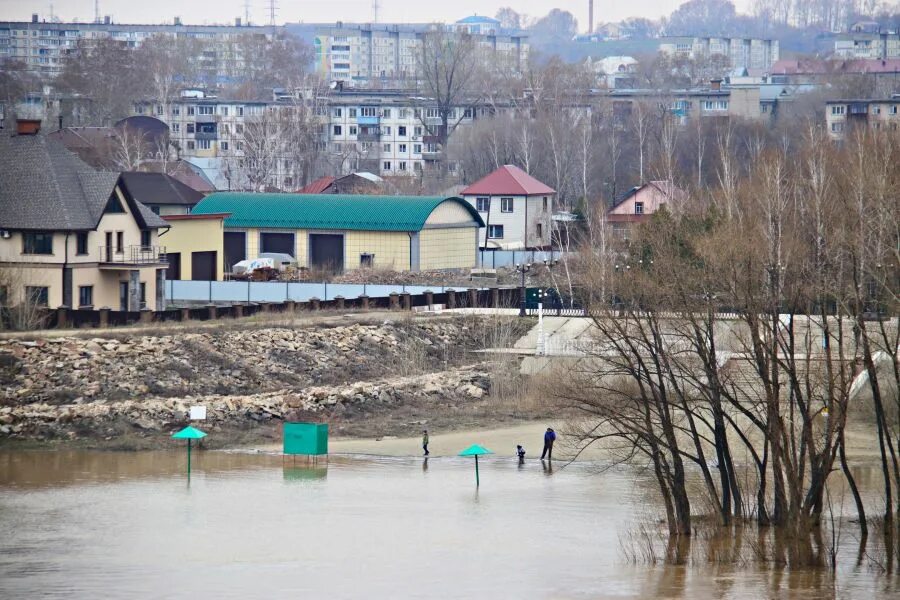 Река Бия в Бийске. Шанхай Бийск. Река Бия Алтайский край Бийский район. Зеленая дамба Бийск. Вода в реке бия