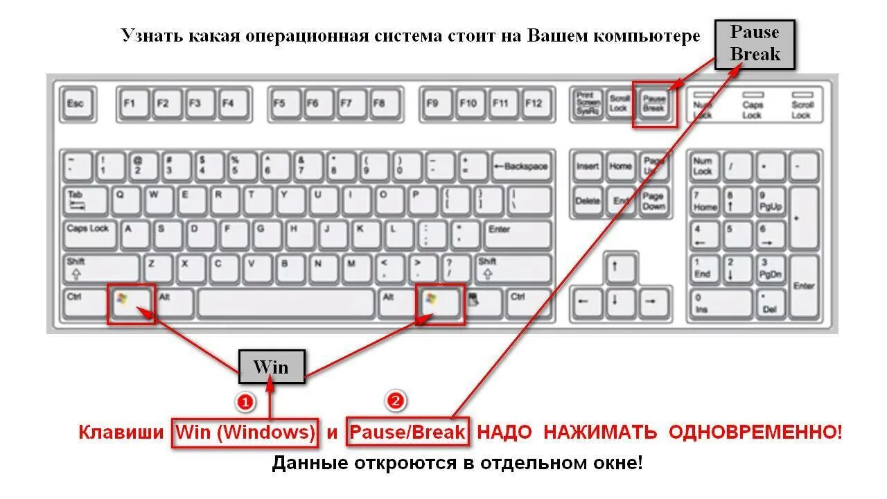 Где находится клавиша процент. Win+Pause на клавиатуре. Кнопка пауза брейк на клавиатуре. Кнопка Pause Break на клавиатуре. Клавиши win Pause.