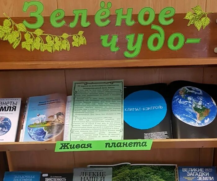 Зеленое чудо земля книжная выставка. Выставка ко Дню земли. День земли выставка в библиотеке. Книжная выставка ко Дню земли. День земли в библиотеке название