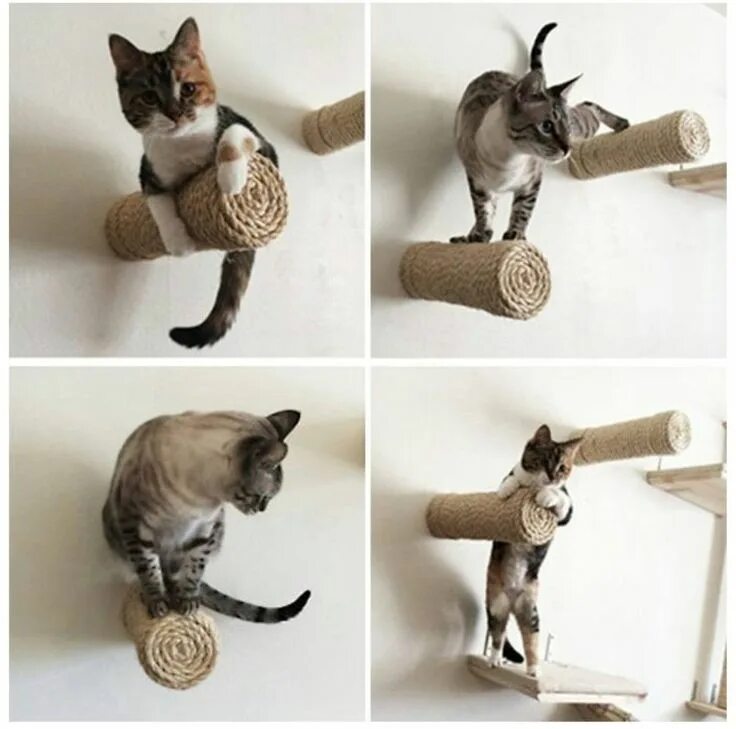 Как сделать такого кота. Самодельная игрушка для кота. самодельные игрушки для котов. игрушка для кота своими руками. самодельные игрушки для котят.