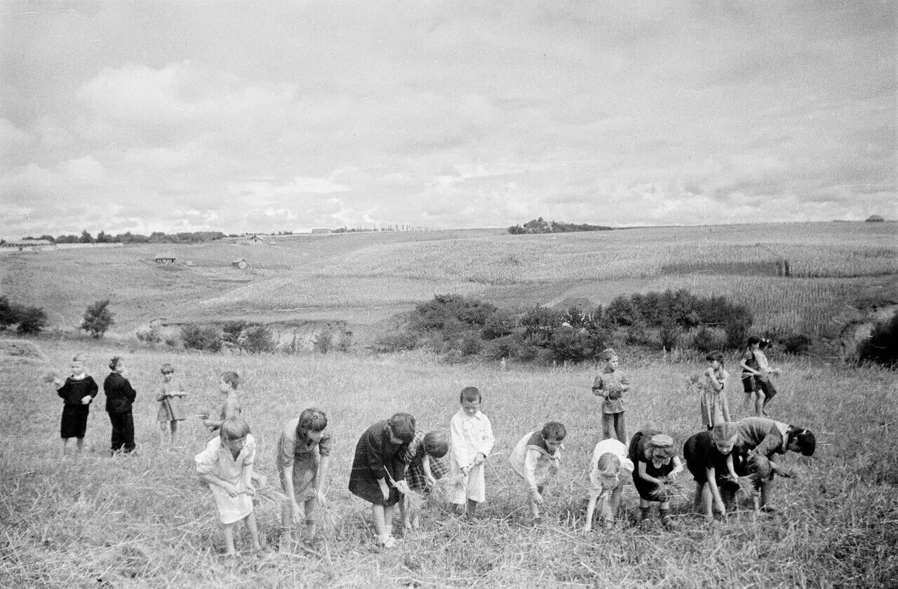 Жизнь в деревне 1930 годы. Послевоенная деревня СССР. Послевоенные годы в деревне. Колхозы перед войной. Послевоенная жизнь в деревне.