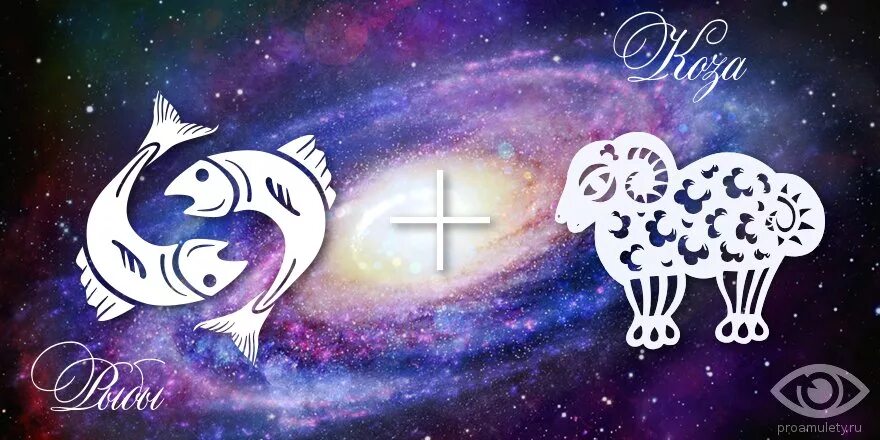 рыбы рожденный в год козы. характер года козы. рыба бык мужчина. рыбы рожденный в год козы. рыбы рожденный в год козы.