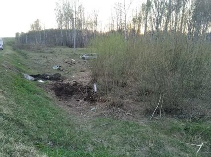 Маслянино черепаново