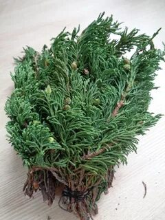 Сат артыш