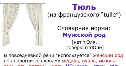 Тюль род число