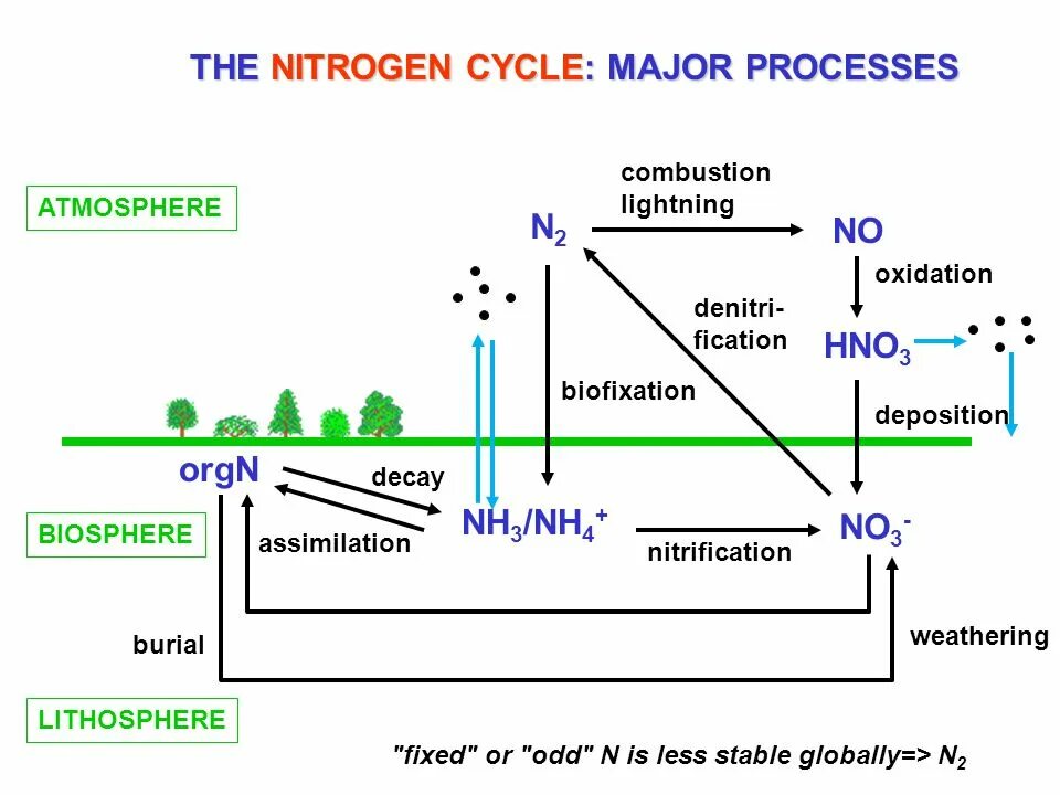 Nitrogen смесь. Nox оксиды азота карта. Графическая формула оксида азота 1. Структурная формула оксида азота 4. Nitrogen oxide перевод.