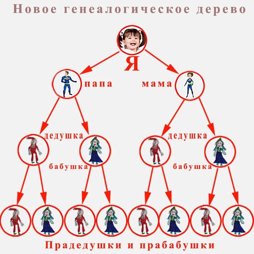 Первые в роду а был ли мальчик. Схема родства в семье. Схема родственных связей. Иерархия детей в семье. Родовая иерархия.