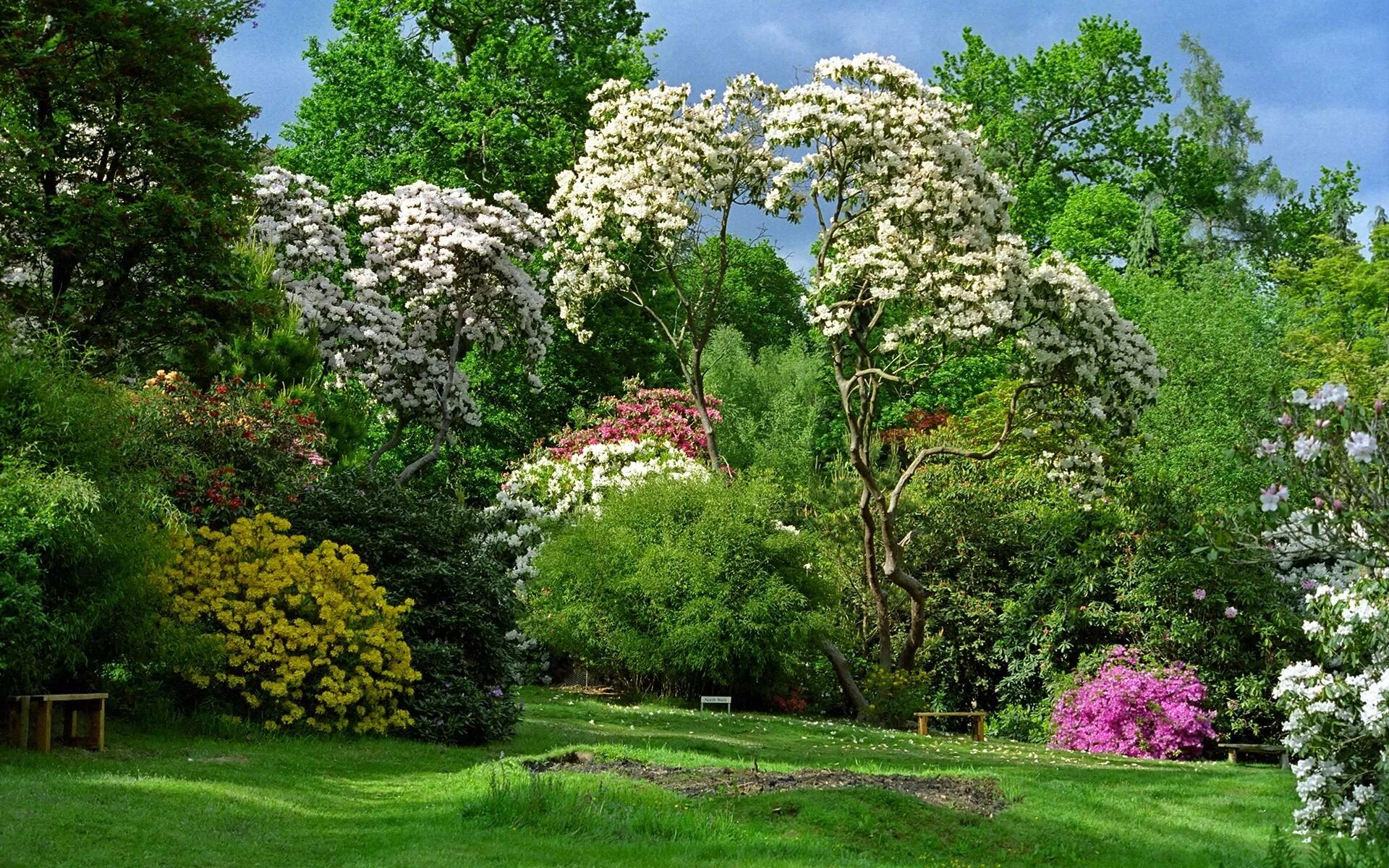 Сад лучшие деревья. Сад Леонардсли в Англии. Ботанический сад в Англии. Умань Ботанический сад. Булонский сад деревья.