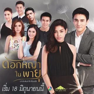 Дикий полевой цветок  Dok Yah Nai Payu  ด อ ก ห ญ า ใ น พ า ย. Кадры дора...