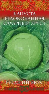 Сорт капусты сахарный хруст