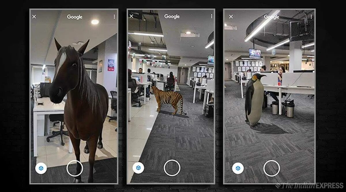 Животные в реальности. Ar животные гугл. Дополненная реальность с животными. 3d животные на камере андроид. Животные в 3d в гугл.