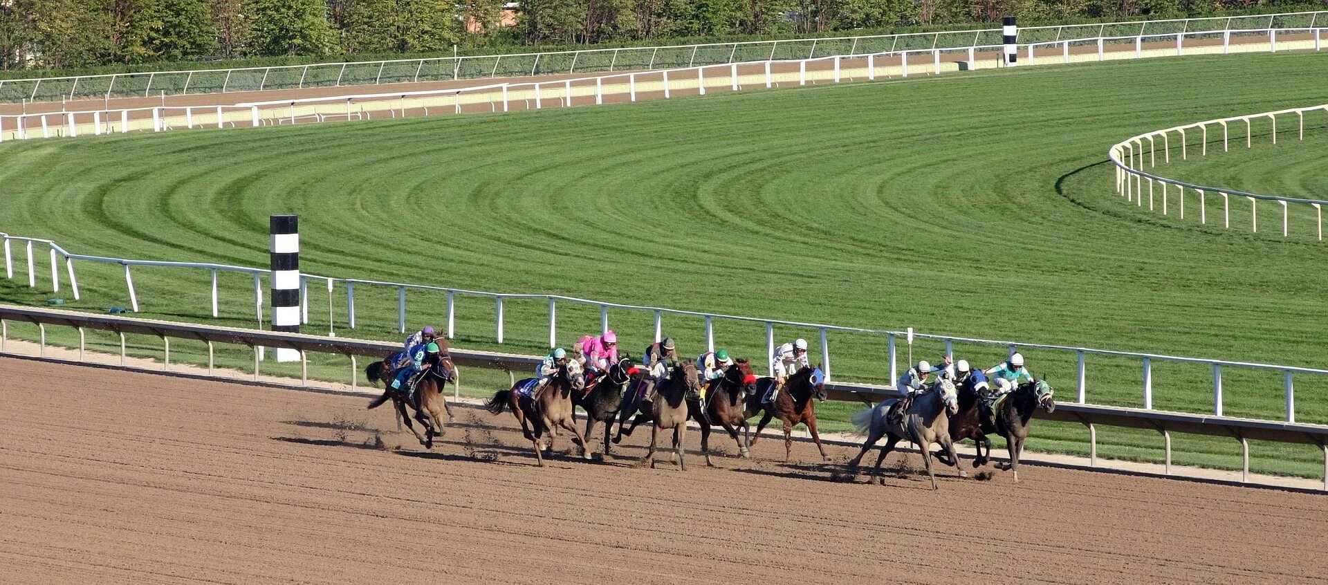Площадка для конных скачек и бегов. Ипподром моррис парк - morris park racecourse. поле для скачек. стадион для лошадей. скачки лошадей трибуны.