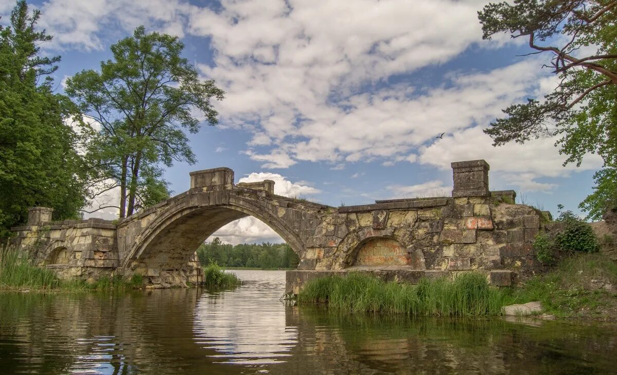 парк приорат гатчина. гатчина санкт-петербург дворцовый парк. большой гатчинский дворец парк. гатчина парк карпин мост. гатчина парк и дворец.