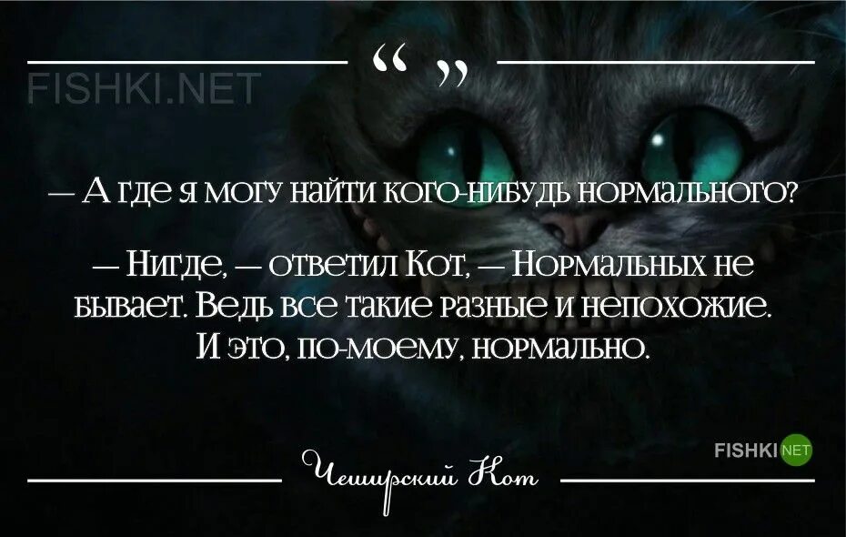 Все выражения страны. Цитаты кота из Алисы в стране чудес. Высказывания кота из Алисы в стране чудес. Высказывания Чеширского кота из Алисы в стране. Слова Чеширского кота из Алисы в стране чудес.