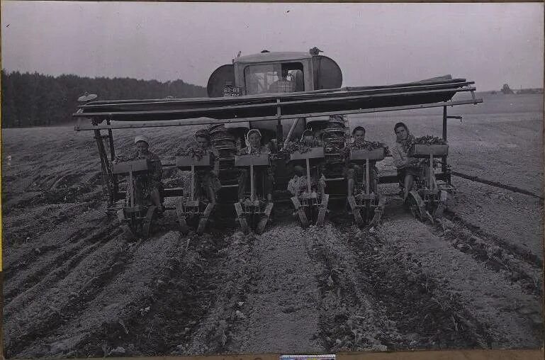 колхозы в сибири. трактор ссср дт 75. колхозы минской. минский тракторный завод мтз в ссср. трактористы ссср 60е.