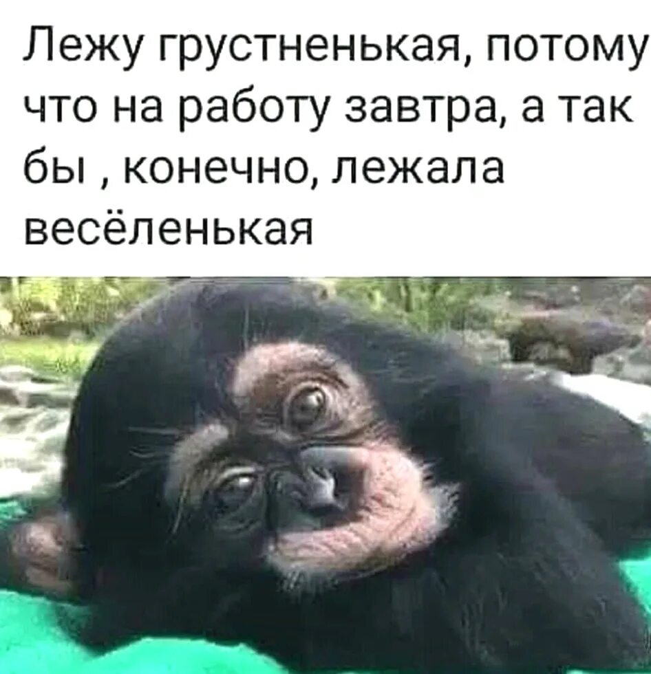На работу идти завтра. Завтра на работу. завтра на работу картинки прикольные. а завтра на работу картинки приколы. завтра на работу юмор.