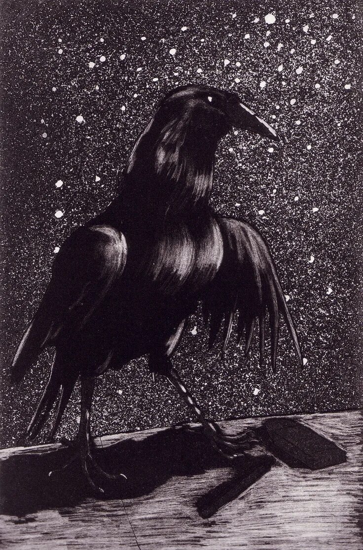 Night crows аутентификация. Гигантский ворон. Ворон арт. Гигантский ворон арт. Гигантский черный ворон.