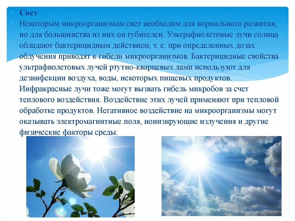 Влияние светового дня на человека. Свет и микроорганизмы. Бактерицидным действием обладают УФ лучи. Бактерицидное действие света. Выраженным бактерицидным действием обладают лучи:.