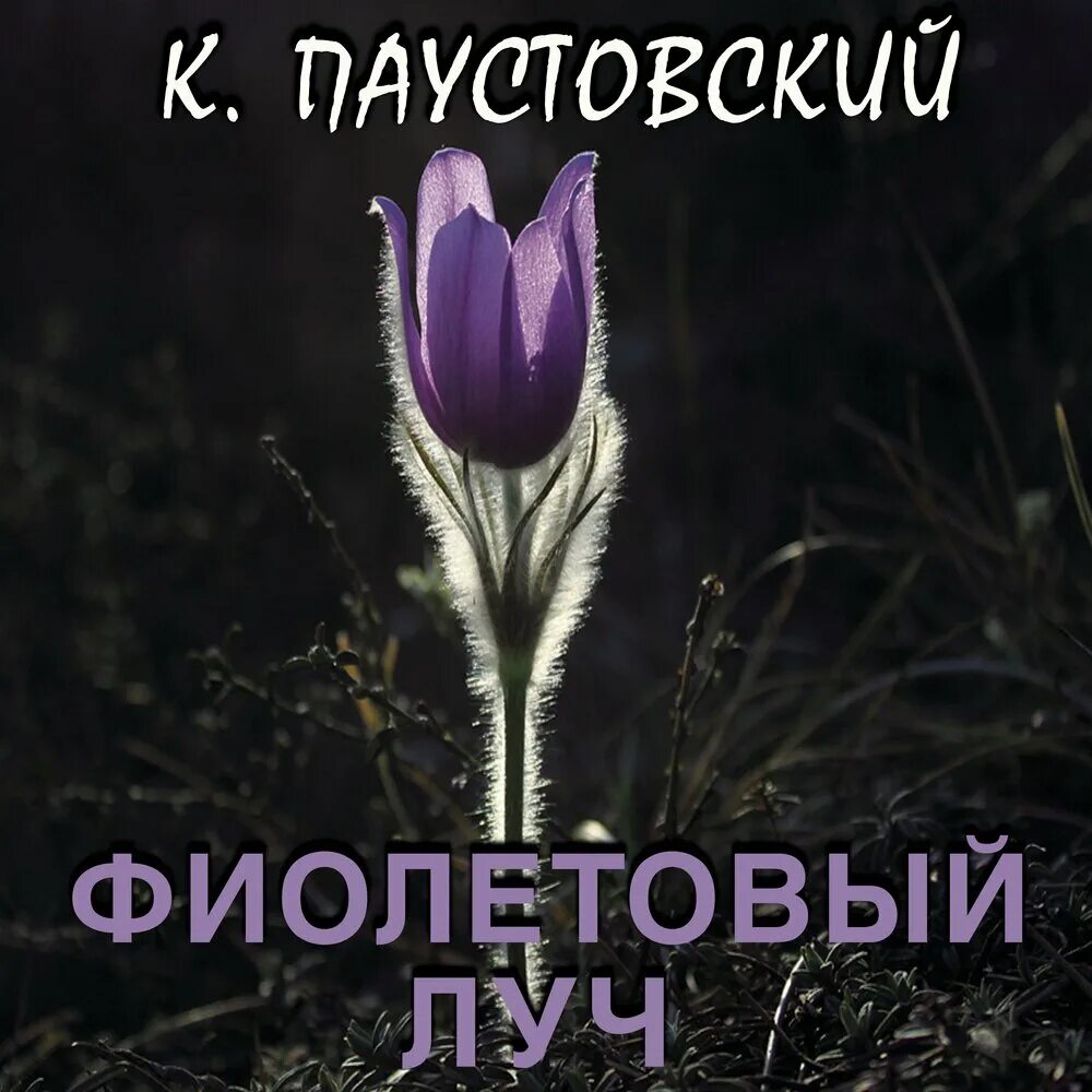 Фиолетовый Луч Паустовский книга. Фиолетовый Луч Паустовский читать.